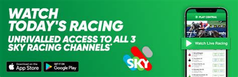 race scratchings today